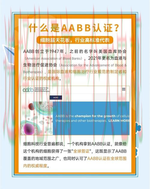 博雅网页版登录入口 博雅网页版登录入口