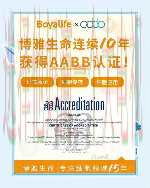 博雅网页版登录入口 博雅网页版登录入口